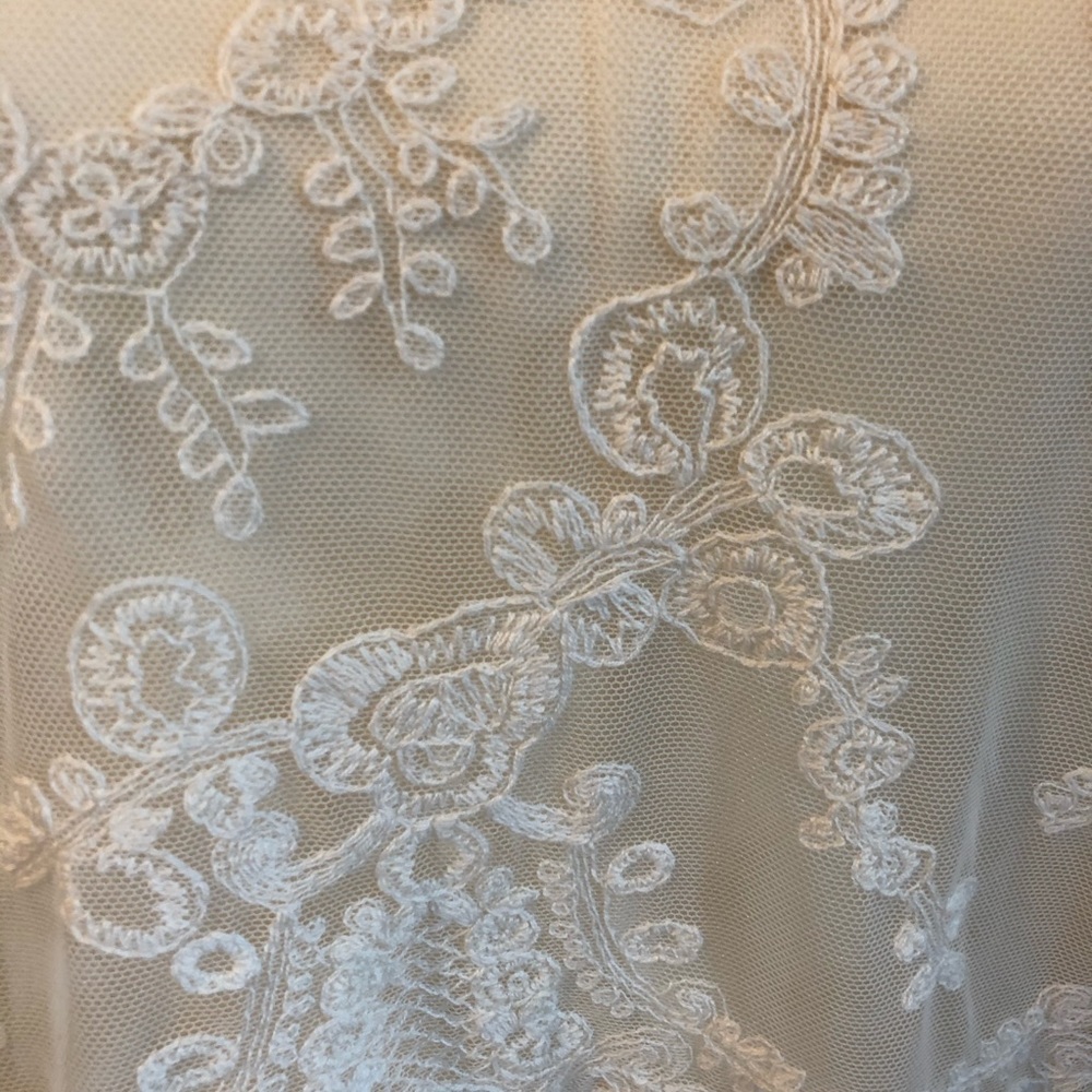 Blu Pepper sheer Lace blouse - Picture 5 of 6